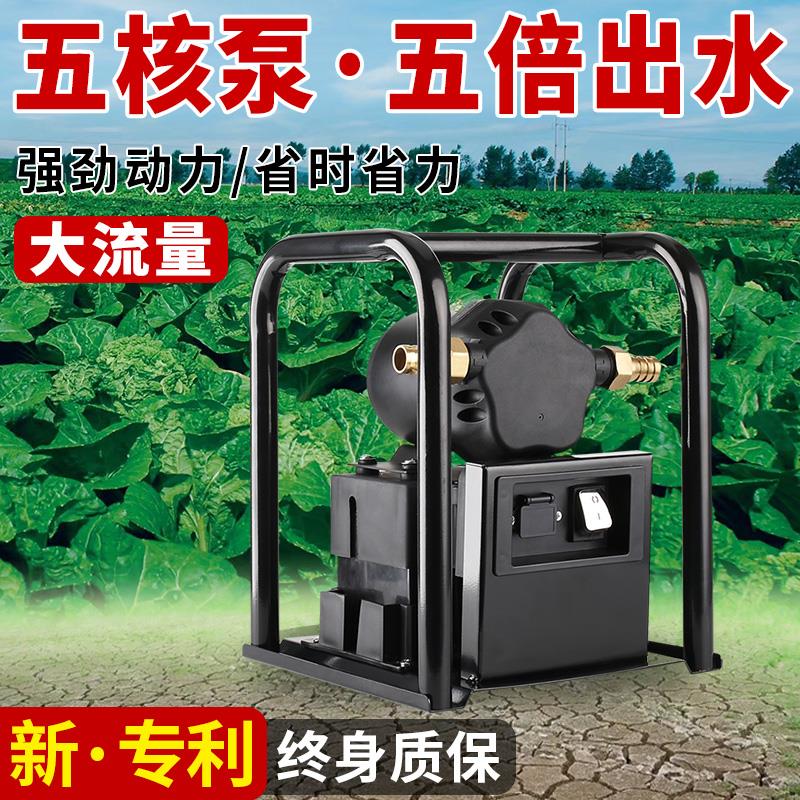 充电式抽水泵大流量农用浇地灌溉浇菜户外抗旱大功率井水自吸