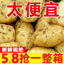 甘肃定西土豆9斤 9斤整箱农家新鲜现挖 包邮 2024黄心沙面马铃薯5