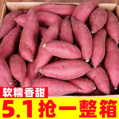 板栗红薯新鲜农家自种黄心