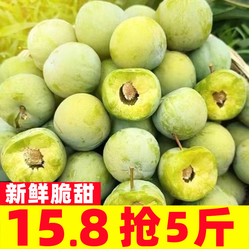 四川脱骨李子新鲜水果当季青红甜