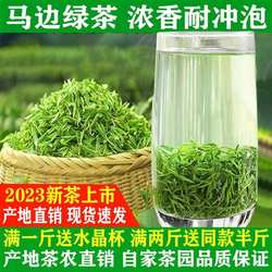 马边绿茶2023年新茶叶明前毛峰春茶散装500g特级日照高山云雾绿茶