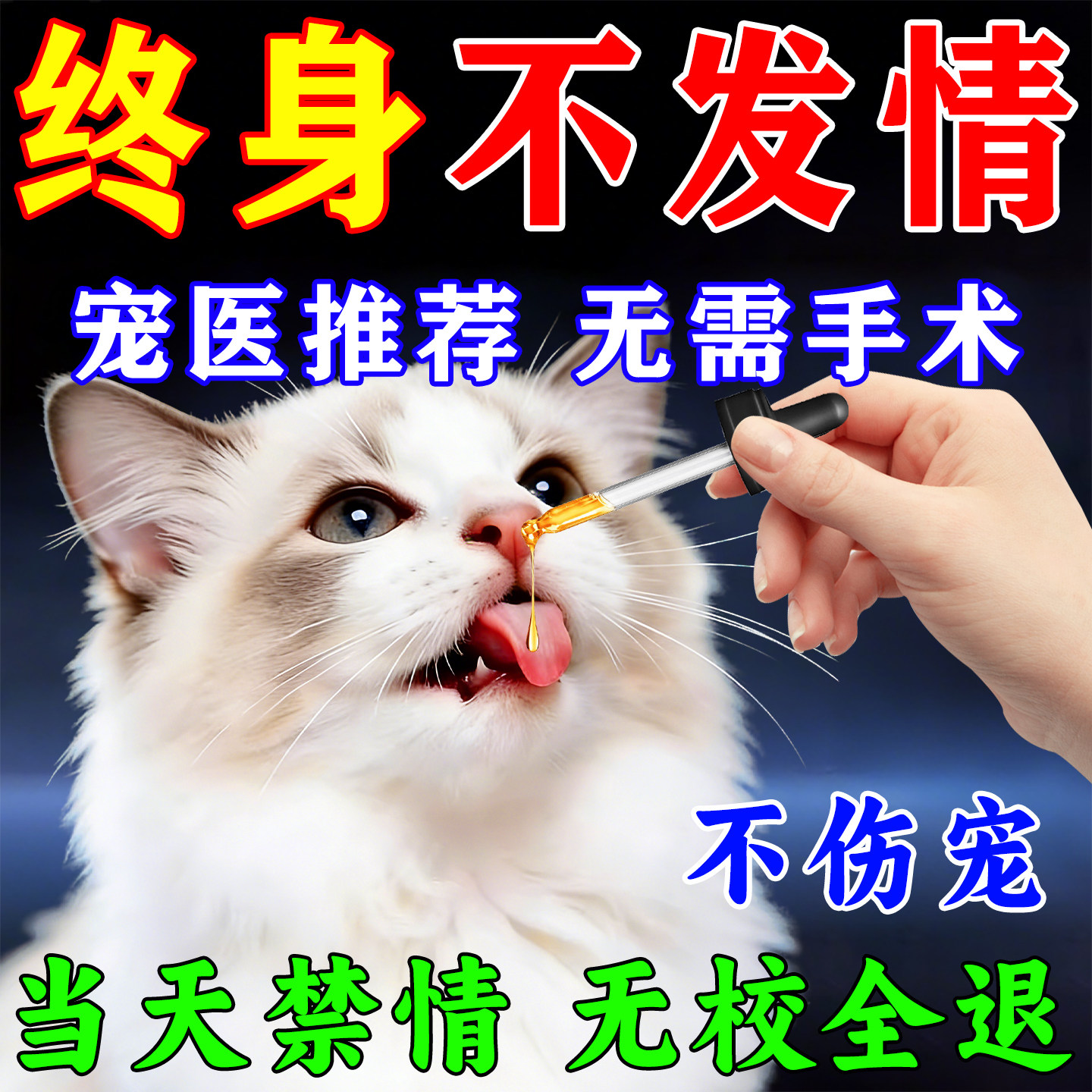猫咪发情抑制药母猫专用公猫咪长效避孕终身绝育宠物禁情液抑情片,宠物/宠物食品及用品,猫狗通用营养膏,淘宝优惠券,粉丝福利购,淘宝优惠卷