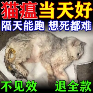 猫瘟特效治猫鼻支药疗细小病毒套餐预防呕吐拉稀病单抗干扰素专用