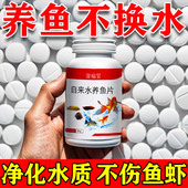 鱼缸净水剂一滴清免换水硝化细菌片浑水发黄水质清澈剂消毒杀菌药