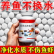 鱼缸净水剂一滴清免换水硝化细菌片浑水发黄水质清澈剂消毒杀菌药