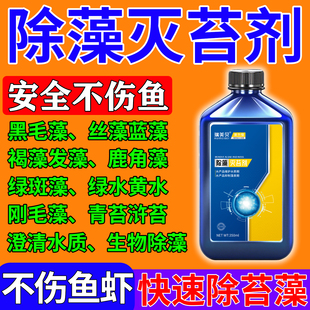 鱼缸除藻去苔剂去藻青苔不伤鱼除绿水褐藻黑毛藻戊二醛鱼缸除藻剂