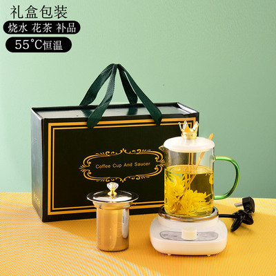 花茶养生壶小型煮茶壶烧水壶家用办公室迷你一人份泡茶