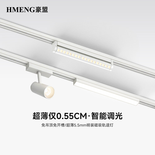 超薄明装磁吸轨道灯0.55cm全光谱护眼免吊顶客厅黑白高显色照明灯