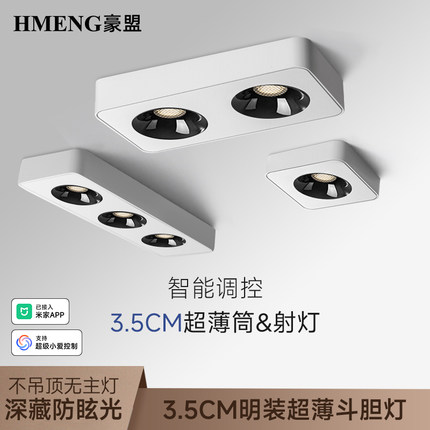 智能超薄明装单头双头三头射灯已接入米家APP斗胆灯led防眩筒射灯