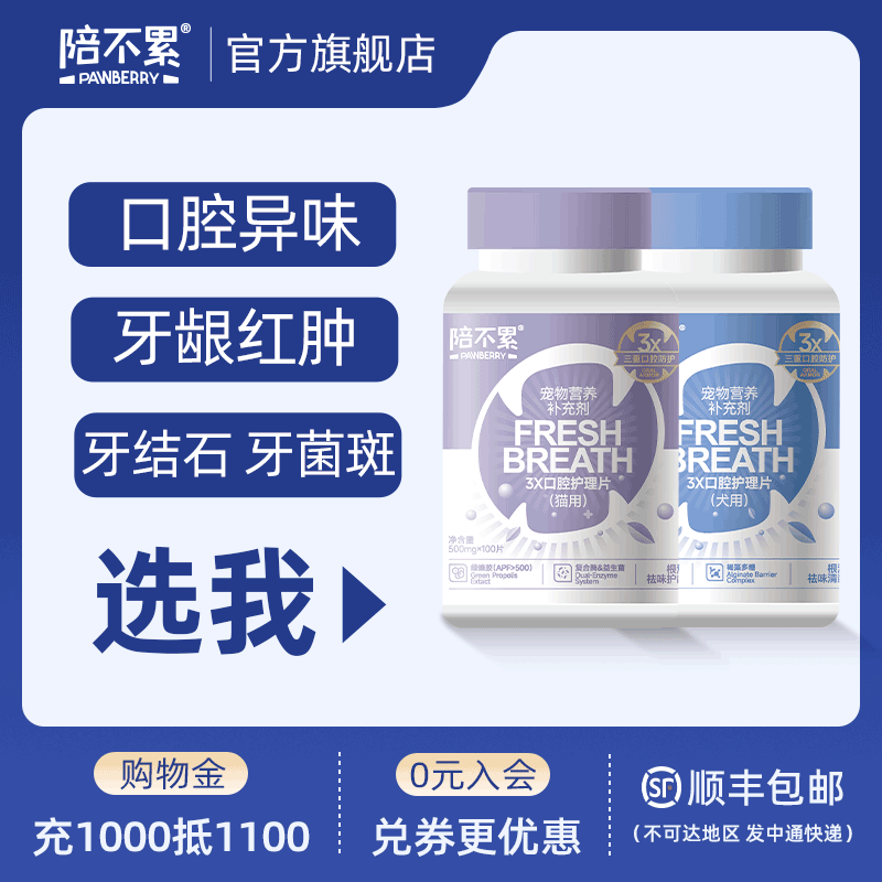 陪不累3X口腔护理片灭口气