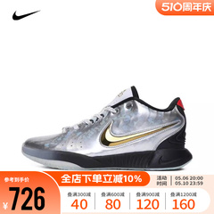 Nike耐克男女大童2024新款LEBRON XXI SE詹姆斯篮球鞋FJ1530-001