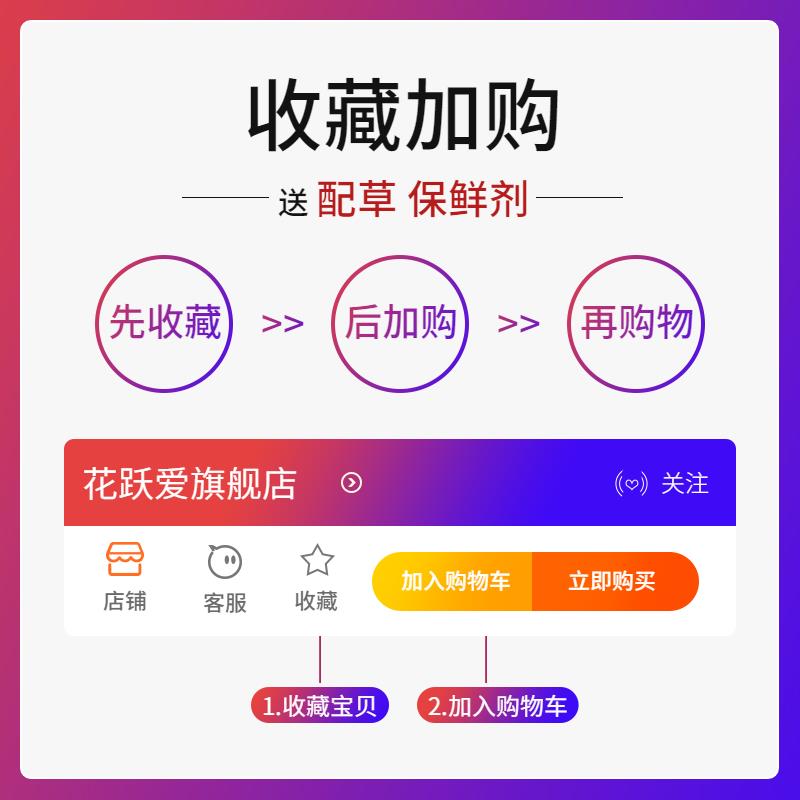 红玫瑰百合鲜花花束云南直发基地混搭直批家用办公室水养鲜切花