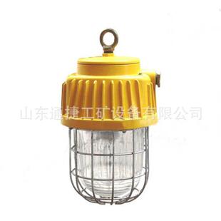 矿用隔爆型泛光灯 矿用防爆灯DGS系列隔爆型泛光灯 127B DGS70