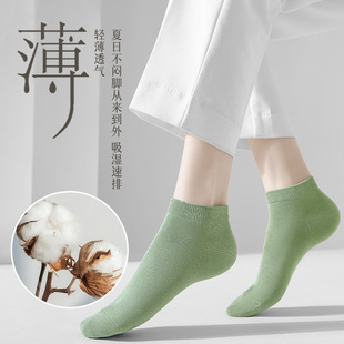 夏季 棉袜子女 新款 女士短袜轻薄干爽透气女士休闲袜纯色盒装