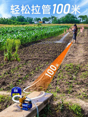 农用灌溉浇水机浇菜神器12V48V220v抽水机大功率自动浇地家用水泵