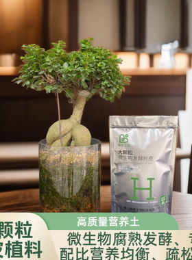 腐熟发酵9-12mm大颗粒树皮植料（2升装、10升装）新 疆不 发货