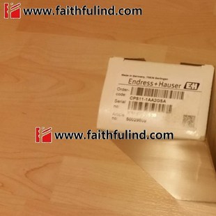 恩德斯豪斯全新ph值传感器 兴隆工控E 1AA2GSA CPS11 PH测量电