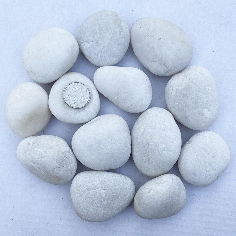 50斤白色抛光鹅卵石庭院花园铺路铺地大小石头户外阳台造景雨花石