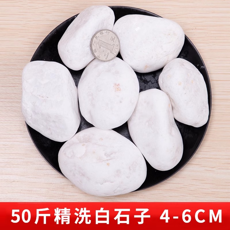 50斤装白色石子大鹅卵石庭院铺地舖路小白石头花园造景景观白石子