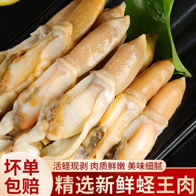 蛏子肉新鲜冷冻蛏肉海鲜竹节蛏竹蛏王鲜活冰冻海蛏子肉海鲜水产