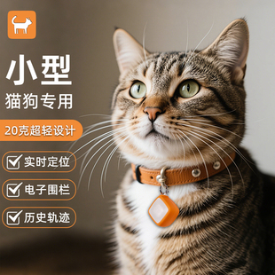 AKEBBA宠物定位器防水项圈小猫咪狗狗防丢GPS实时追跟踪5G智能犬