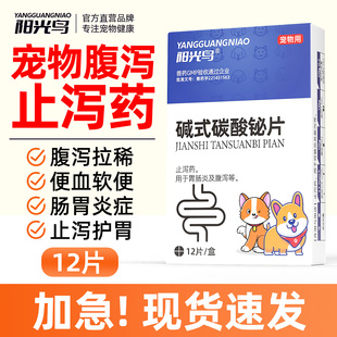 阳光鸟宠物狗狗拉稀止泻药犬拉肚子治疗腹泻药碱式 碳酸铋片