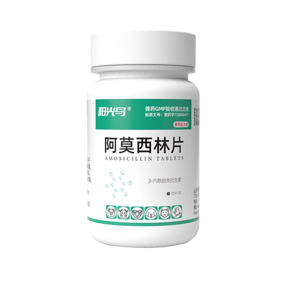 猫狗感冒咳嗽细菌感染消炎药