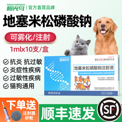 地塞米松宠物猫狗退烧抗炎抗过敏