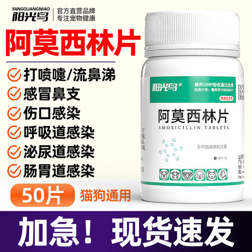 猫狗感冒咳嗽细菌感染消炎药