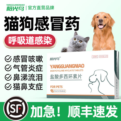 猫咪狗狗感冒咳嗽用药 12片1盒 规格50mg
