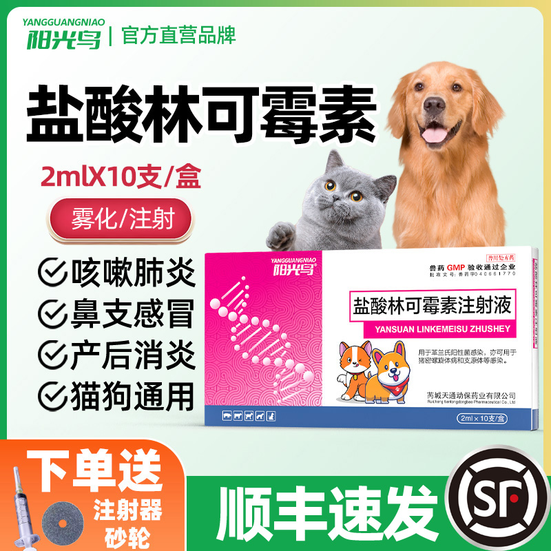 猫咪感冒咳嗽流鼻涕消炎林可霉素