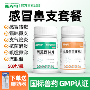 猫用多西环素片猫鼻支流眼泪狗感冒药阿莫西林咳嗽流鼻涕犬窝咳药
