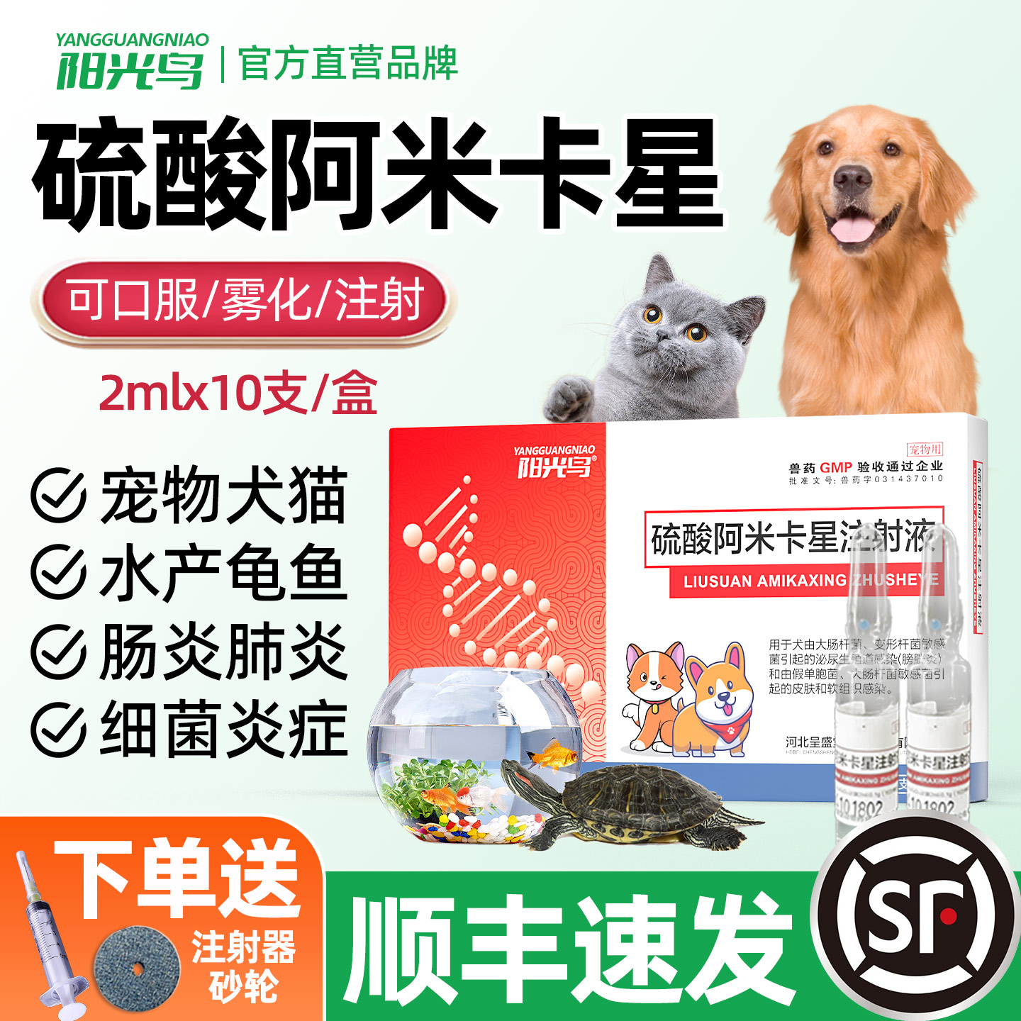 硫酸阿米卡星犬猫支气管炎肺炎