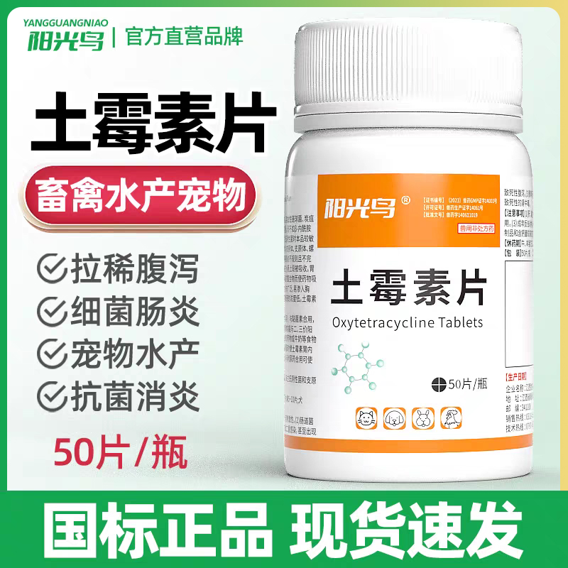 猫咪狗狗宠物肠炎腹泻呕吐用药