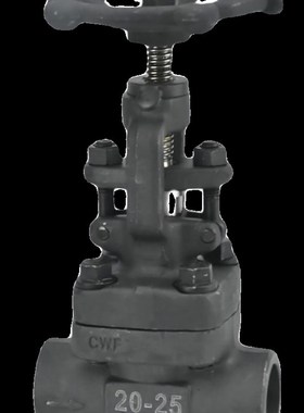 Z/J61H-16C/800LB耐高温蒸汽导热油A105锻钢对焊承插焊闸阀截止阀