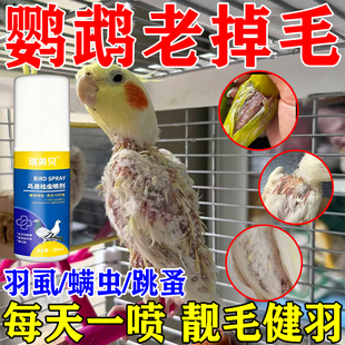 鹦鹉掉毛怎么办八哥掉毛身上有虫子溃烂换毛啄毛严重秃背专用喷雾