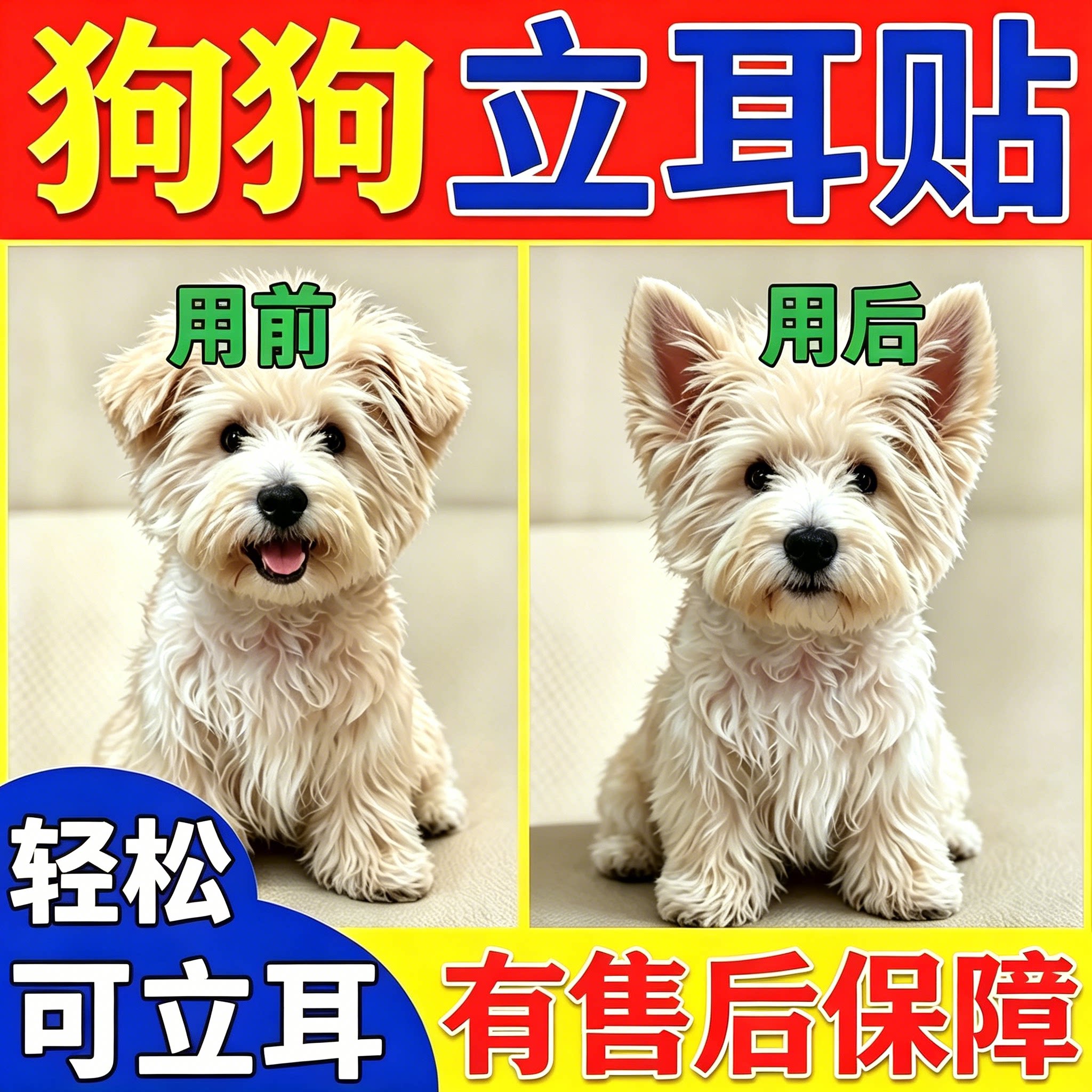【新型立耳贴】小狗软骨素钙片