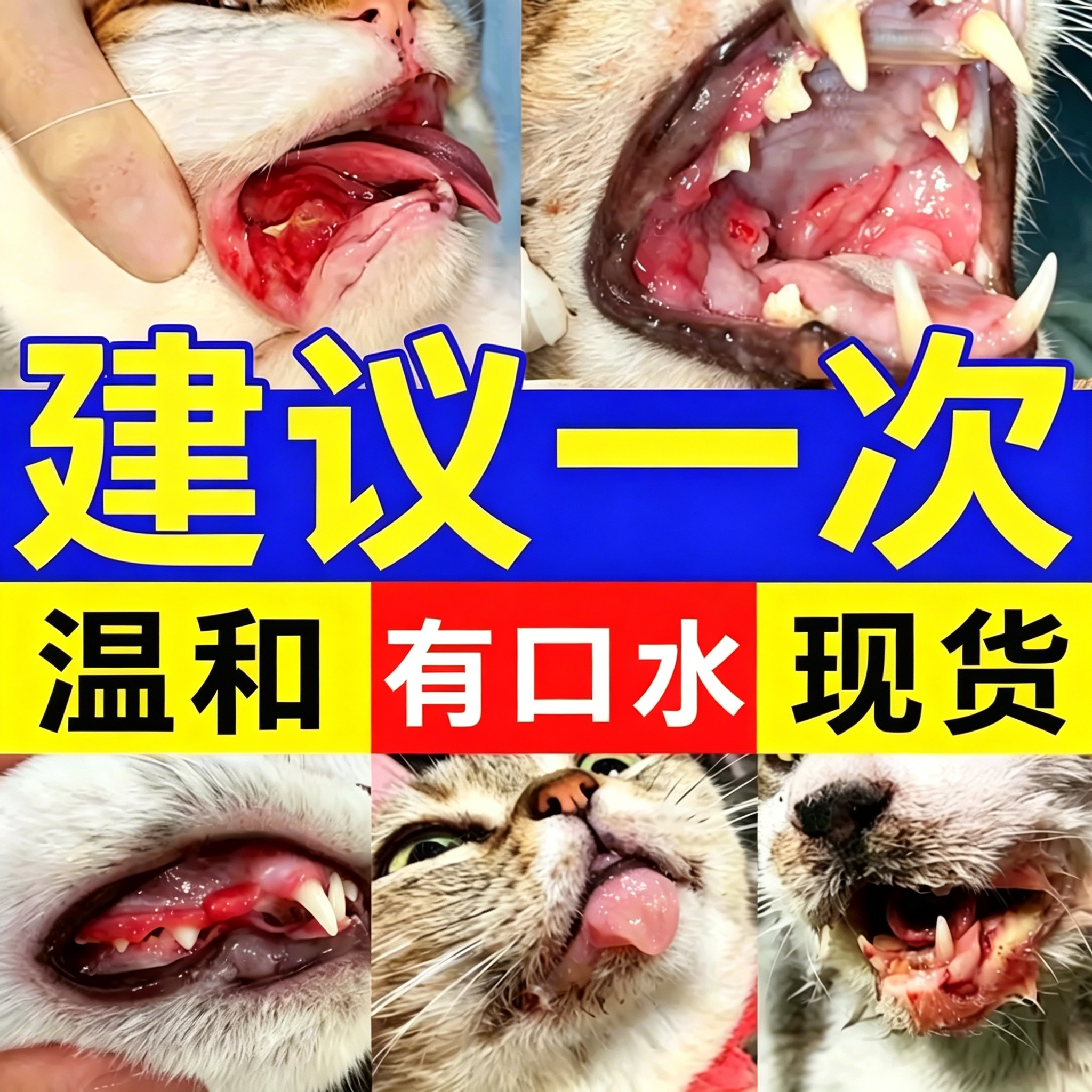 猫口炎特专猫咪用烂嘴流口水效杯状病口腔臭消清洁炎喷剂