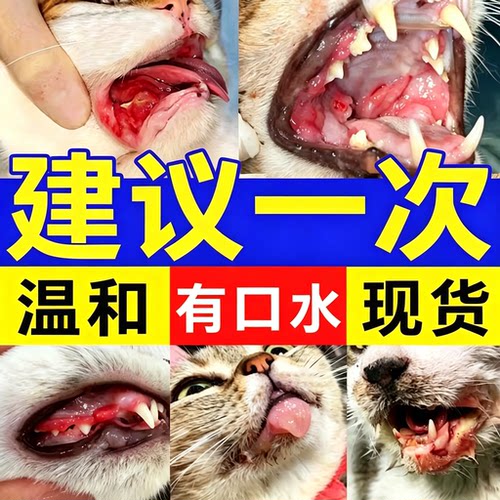 猫口炎特效专用喷剂药