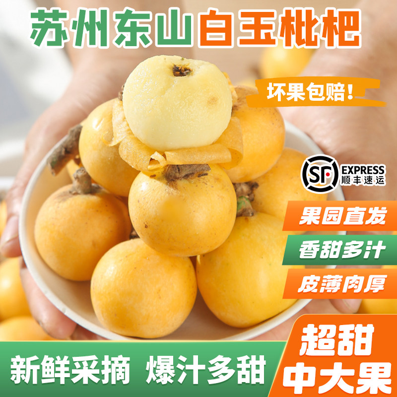 超甜正宗苏州东山白玉枇杷批发