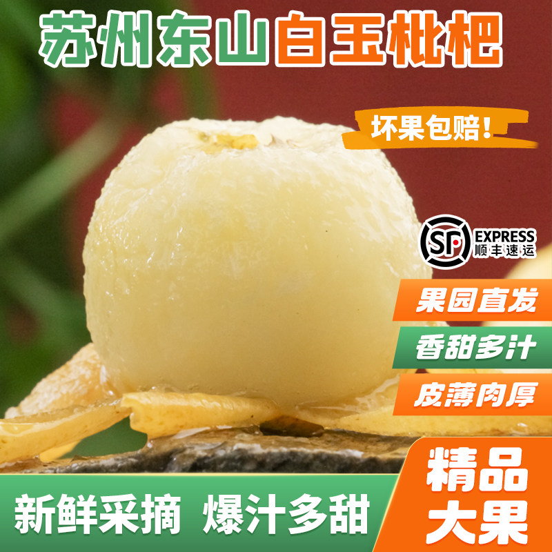 精品大果超甜苏州东山白玉枇杷果孕妇应季新鲜水果5斤礼盒装顺丰