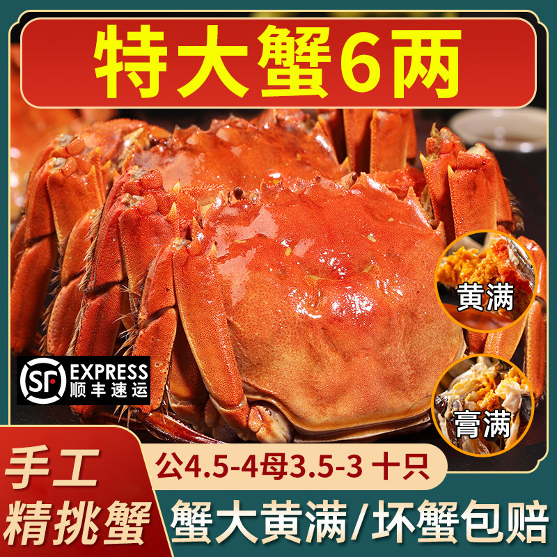 活蟹现货特大阳澄大闸蟹苏州鲜活满黄螃蟹公4.5母3.5/10只礼盒装,水产肉类/新鲜蔬果/熟食,大闸蟹,淘宝优惠券,粉丝福利购,淘宝优惠卷