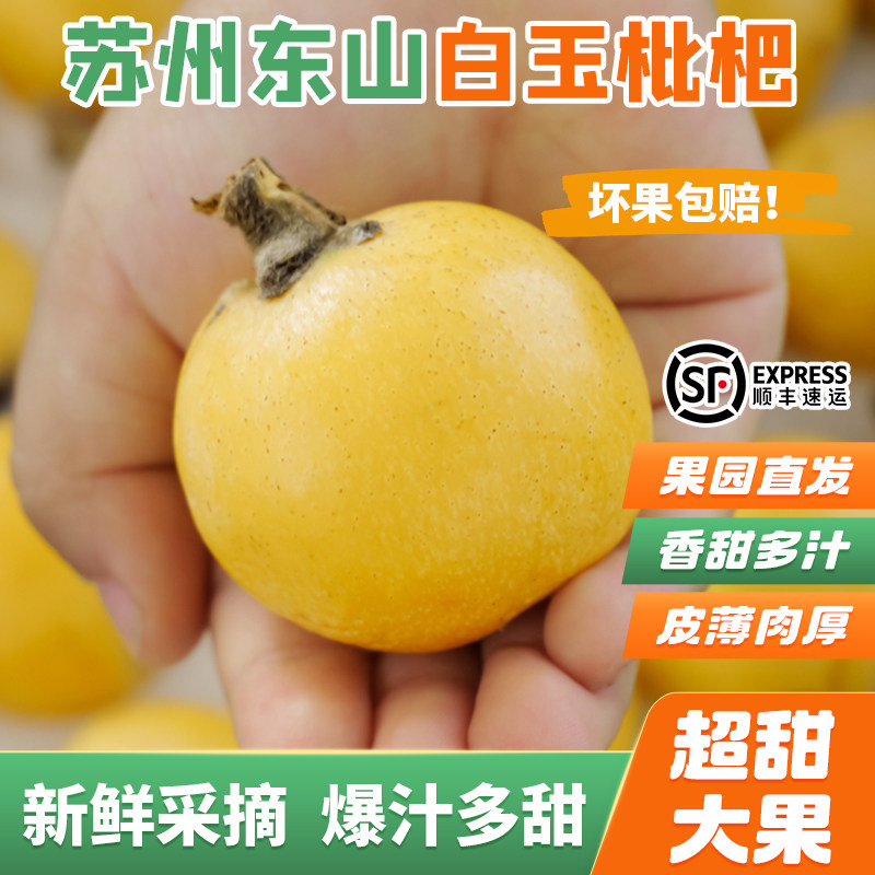 超甜苏州东山白玉枇杷大果孕妇新鲜应季水果正宗白玉枇杷5斤礼盒