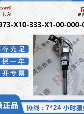霍尼韦尔二次表头PH酸碱浓度仪04973-X10-333-X1-00-000-000