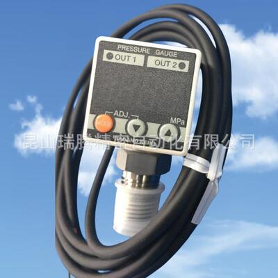 GC31-174-P7N3800数字压力表NaganoKeiki长野计器NKS