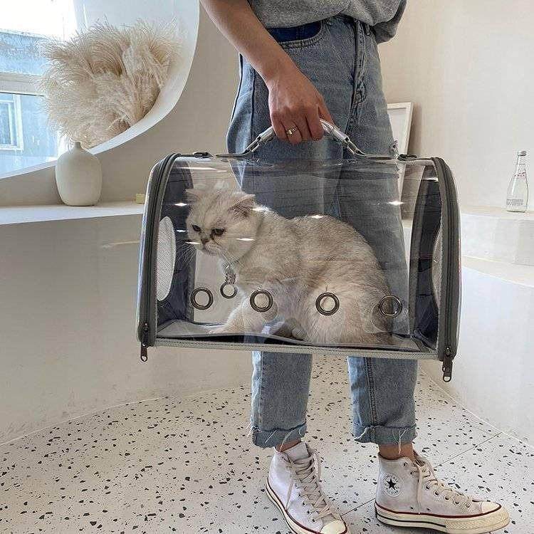 猫包宠物包猫咪狗狗旅行外出透气单肩斜挎手提便携包透明太空舱包,宠物/宠物食品及用品,背包/箱包,淘宝优惠券,粉丝福利购,淘宝优惠卷