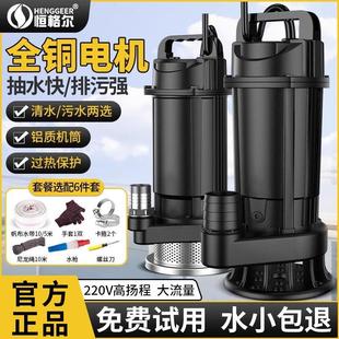 不锈钢高扬程直流潜水无刷48V60V72V电瓶车抽水泵农用灌溉抽水机