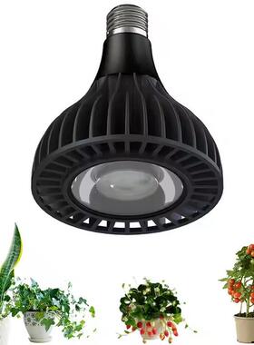 PAR38植物补光灯30W全光谱植物生长灯3000K 高显指AC100-240V