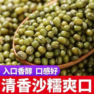 老品种绿豆农家自产绿豆可煲煮绿豆汤材料可发芽五谷杂粮 新鲜应季