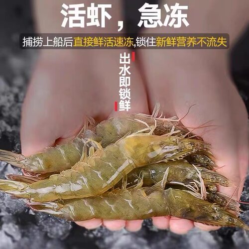 大虾鲜活新鲜速冻超大特大 海虾青虾冷冻30/40虾  3斤/5 斤